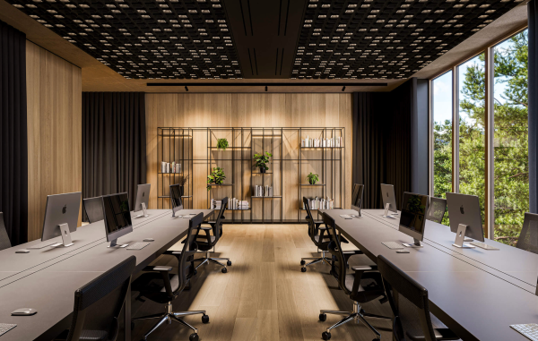 Ceiling fitted with modular acoustic luminaires in a modern office with workstations.